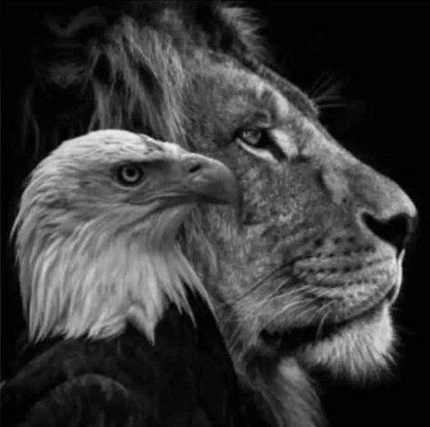 jministries_lion